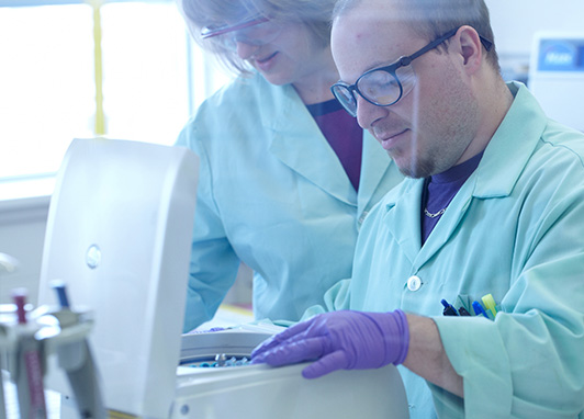 Experienced and Capable