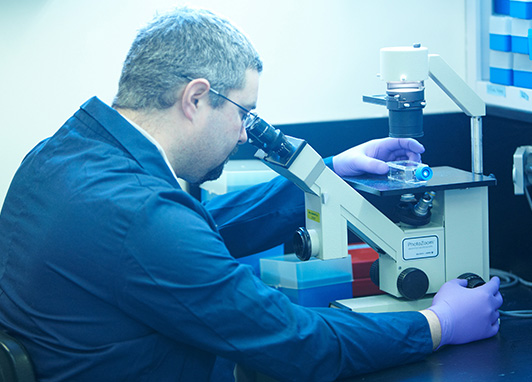 Targeting cancer cells