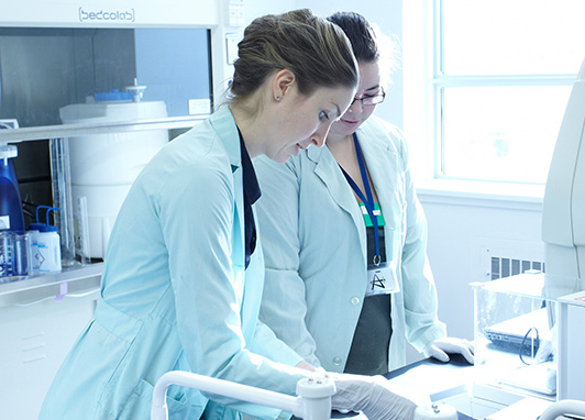 Low Dose Radiation Research