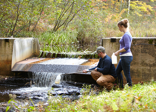 The science of environmental stewardship