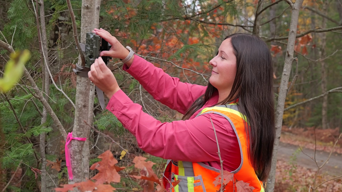 CNL’s Sustainability Strategy